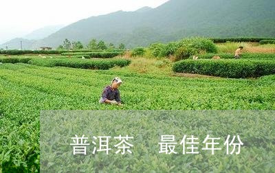 普洱茶 最佳年份/2023041036272